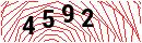 Security Verification