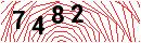 Security Verification