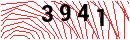Security Verification