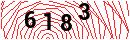 Security Verification