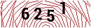Security Verification