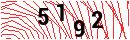 Security Verification