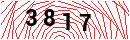 Security Verification