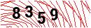 Security Verification