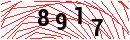 Security Verification