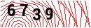 Security Verification