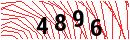 Security Verification