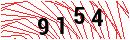 Security Verification