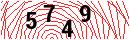 Security Verification