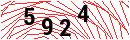 Security Verification