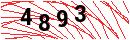Security Verification