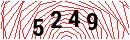 Security Verification