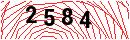 Security Verification