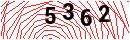 Security Verification
