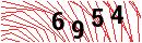 Security Verification