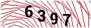 Security Verification