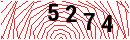 Security Verification