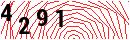 Security Verification