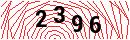 Security Verification
