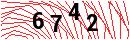 Security Verification