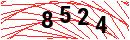Security Verification