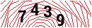 Security Verification