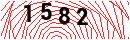 Security Verification