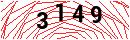 Security Verification