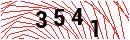 Security Verification