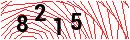 Security Verification