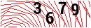Security Verification