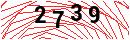 Security Verification