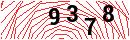 Security Verification