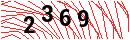 Security Verification