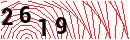 Security Verification