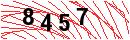 Security Verification