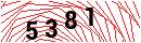 Security Verification