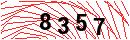Security Verification