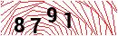Security Verification