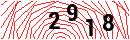 Security Verification