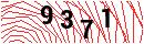 Security Verification