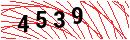 Security Verification