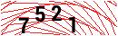 Security Verification