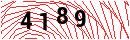 Security Verification