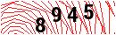 Security Verification