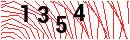 Security Verification