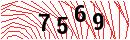 Security Verification