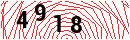 Security Verification