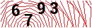 Security Verification