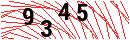 Security Verification